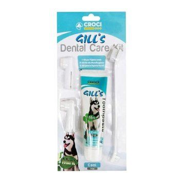 Набор GILL'S Dental Care: зубная паста мятная 100 мл + 3 щётки УТ-00004511 &mdash; купить в Вусолап